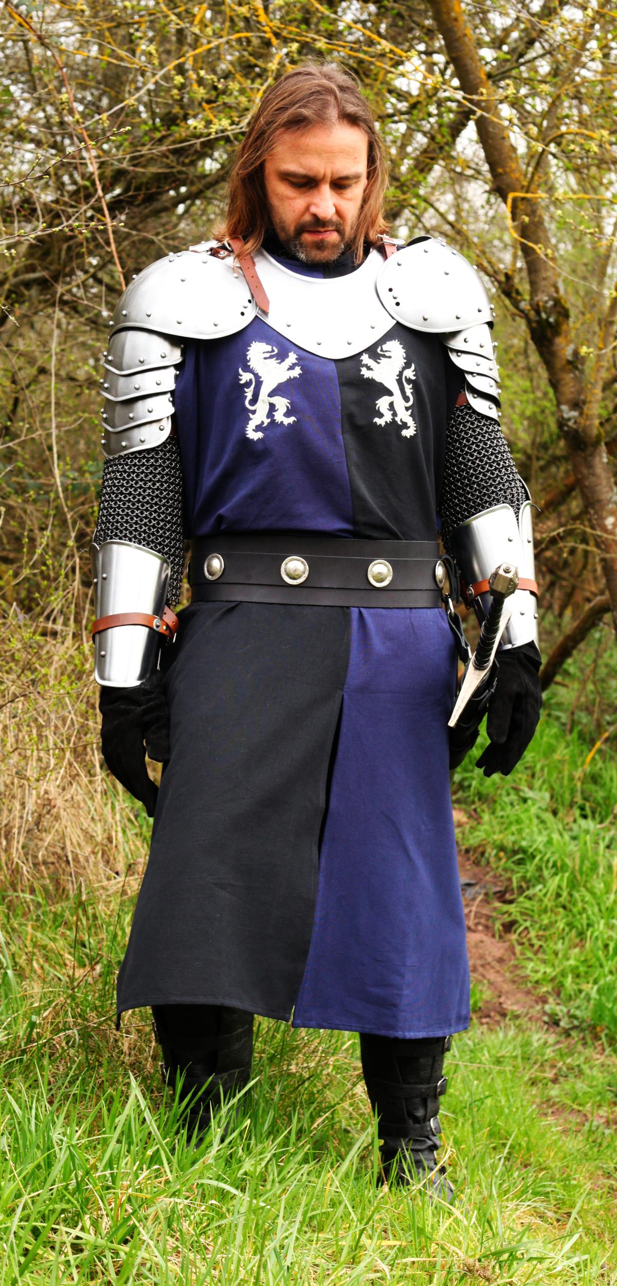 Medieval Knight Cosplay